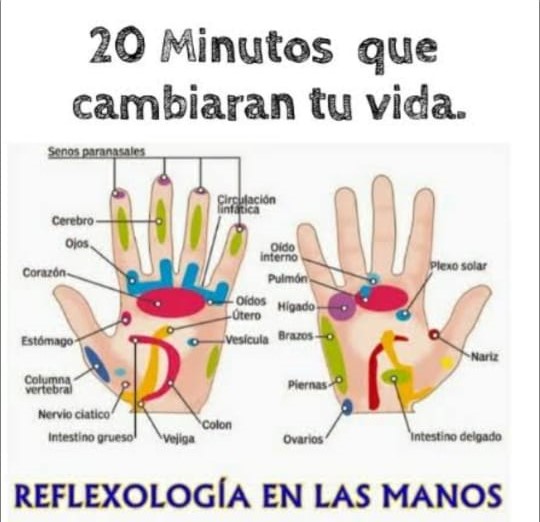 reflexologia de manos